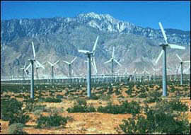 Renewable energies are a potential source of development