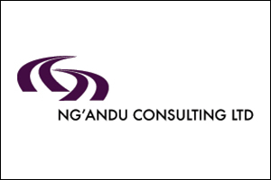 Ng'andu Consulting Ltd