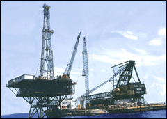 offshore petroleum opportunities