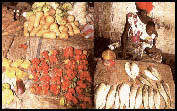 Fruit vegetable and Fish Markets