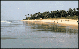 Fajara beach