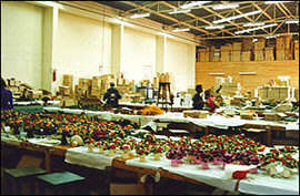 One of the factories at the EPZ
