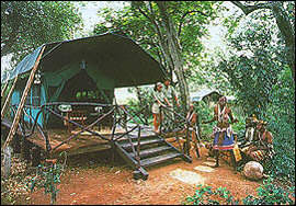 Hilton Safari Camp