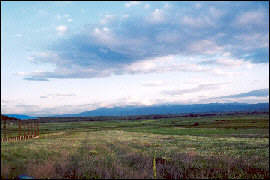 The Duckajini Plain