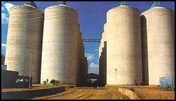 Admarc's huge maize silos in Lilongwe store most of the Nation's strategic food reserves