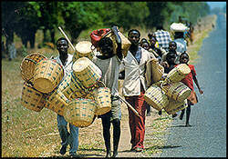 Men with baskets: "Lakeshore basket-makers on the road "