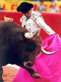 Guillermo Capetillo Mexican Bullfighter
