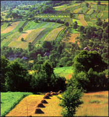 Romania’s rich agricultural lands