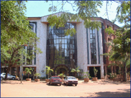 Your comforting partner