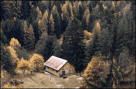 miners cabin in Banka Stiavnica