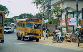 BUSES IN COLOMBO