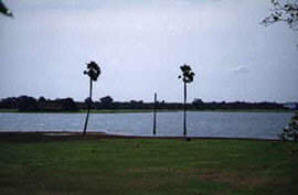 Lake near Polonnaruwa