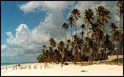 Zanzibar and its golden beaches