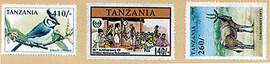 Tanzania - Winne.com