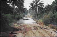 FORETS DE LA NOUMBI
