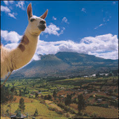 Andes