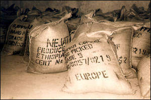 Bags ready to export