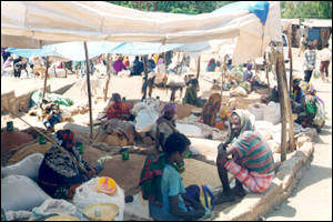 The coffee seeds market in Harar