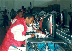 Tebark Factory