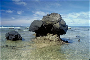 Low tide shows amazing forms