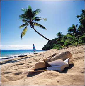 Sea, Sand and Sun under a palm tree