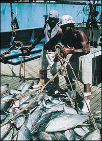 Fiji fishermen with the catch of the day