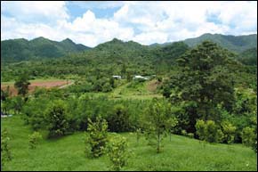 Fiji's rich and productive land