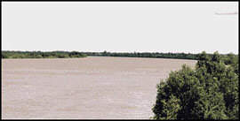 The River Gambia