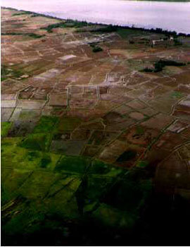 An aerial view reveals how traditional and dense is the Guinean agriculture.