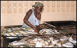 Woman selling her fish in Kamsar