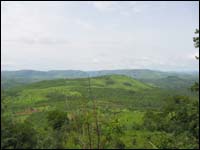 Paysage