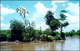 Mara River at the Masai Mara Natural Reserve