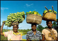 To market, near Chintheche, Lake Malawi