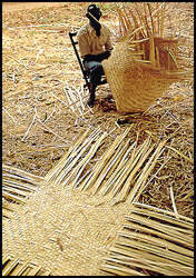 The basketmaker, near Mangochi