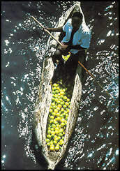 Lakeshore fruit seller