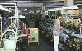 Inside Floreal's plants