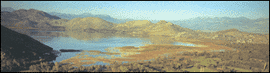 -Lake Skadar-