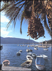 - Herceg Novi -