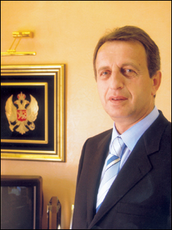 Dragan Brkovic, Vektra