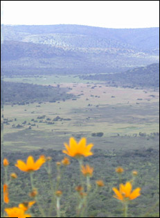 Alkagera Park