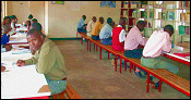 Students at the library