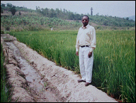 Rice culture at ISAE