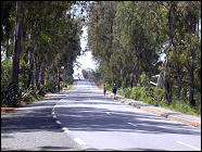 Road from Kigali to Butare and Kibuye