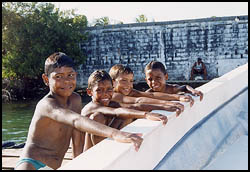 Falcon’s children in Chichiriviche