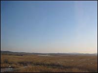Tundra of Primorsky Krai