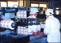 Fish processing